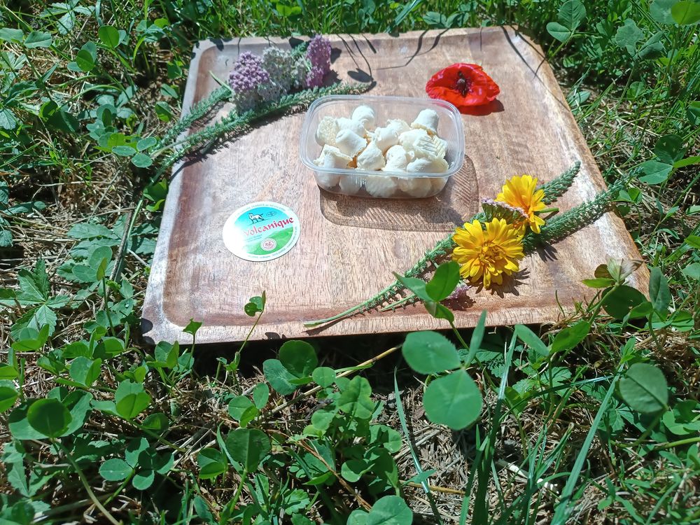 Les petits bouchons apéros Les petits bouchons apéros