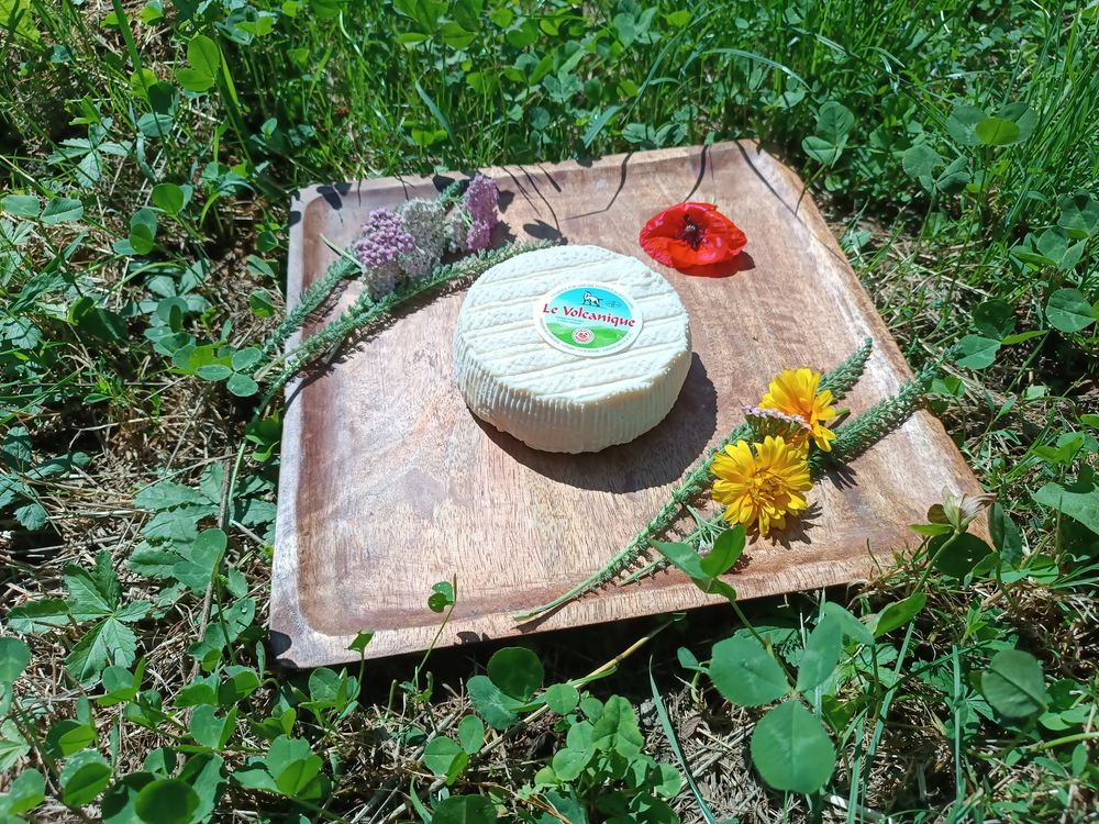 la Brugère la Brugère